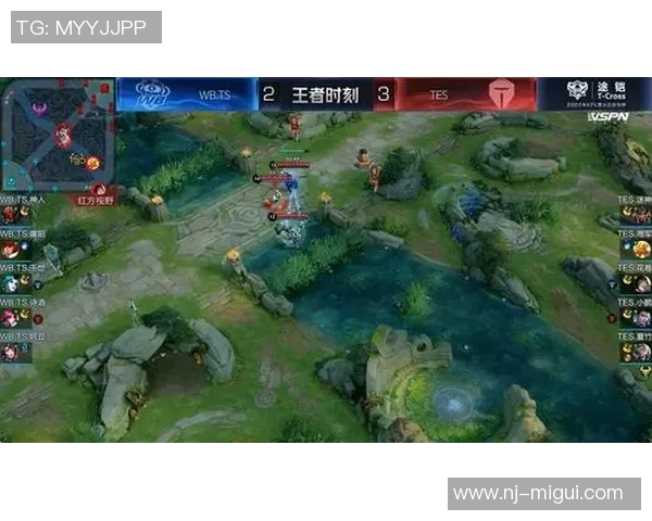 电竞数据深入解析王者荣耀TES战术布局与团队协作的成功秘诀