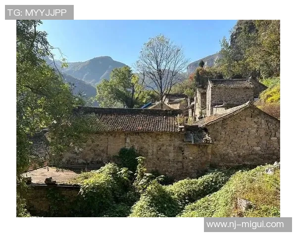 和平精英灵活性排行榜V5表现突出成功跻身第九名引发玩家热议实时新闻